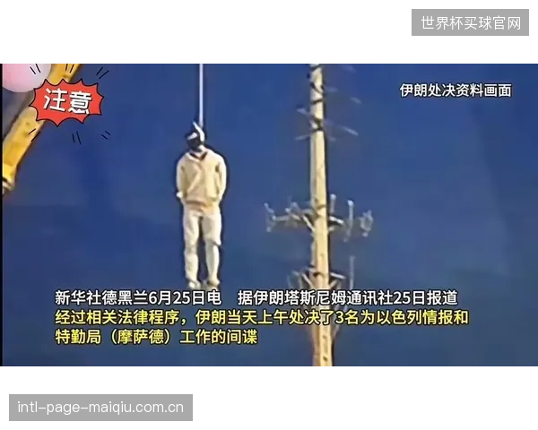 老将普拉利甘吉的经验是后防线的宝贵财富，他的状态将决定伊朗防线的稳定性。